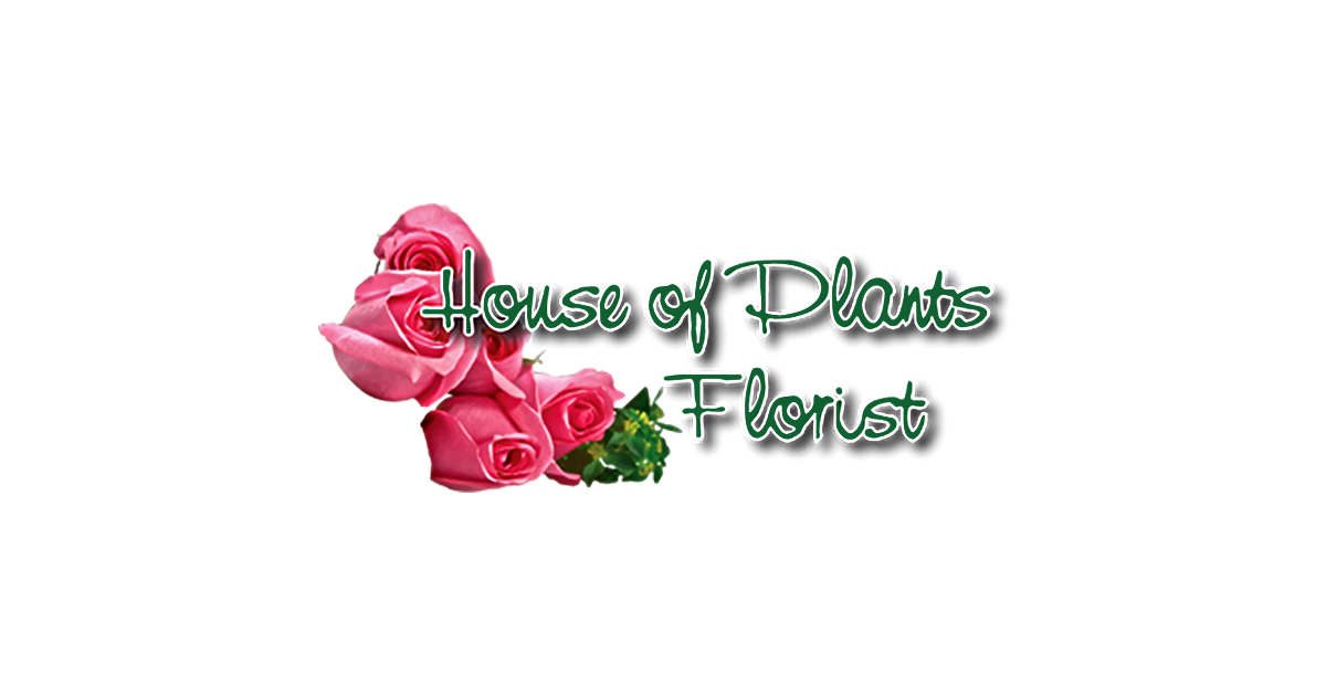 (c) Houseofplantsflorist.com